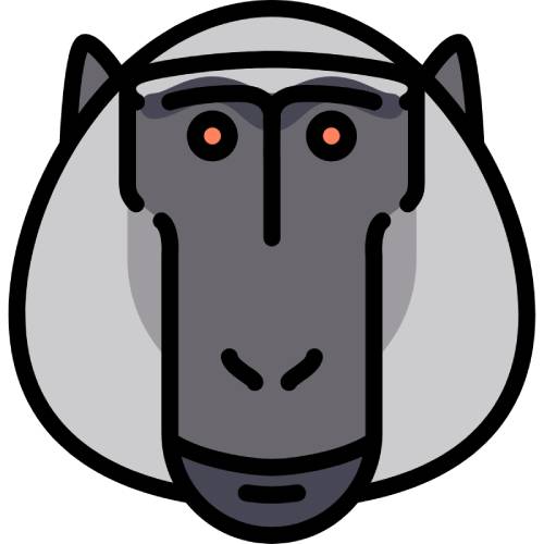 Nyani Watch icon